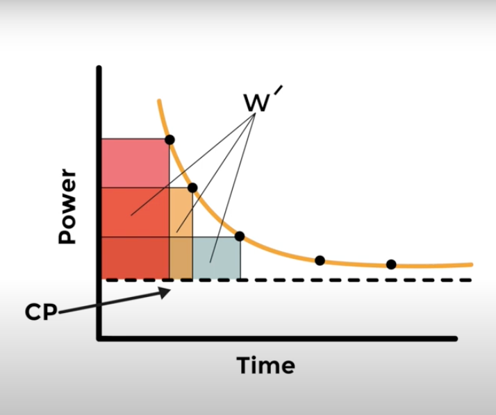 FREE ZONE Testing + Training Insight Assessment