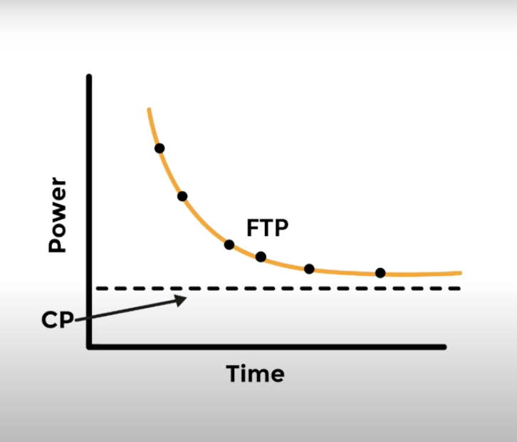 FREE ZONE Testing + Training Insight Assessment